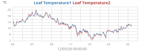 yeartempleaf